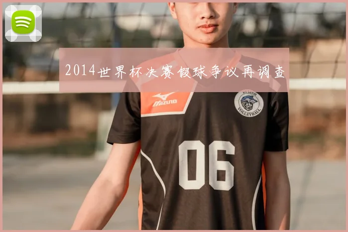 2014世界杯决赛假球争议再调查