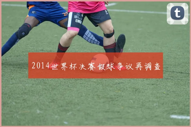2014世界杯决赛假球争议再调查