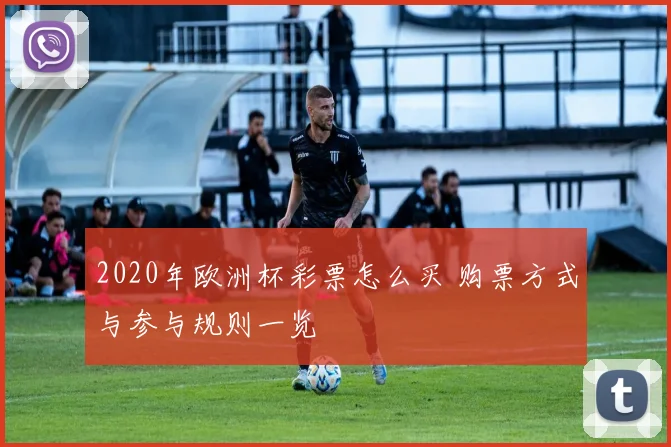 2020年欧洲杯彩票怎么买 购票方式与参与规则一览