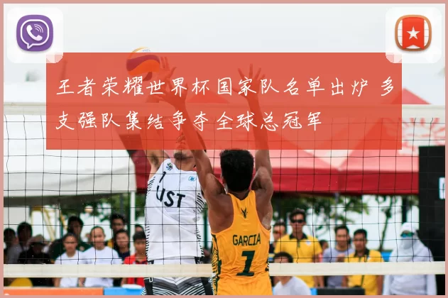 王者荣耀世界杯国家队名单出炉 多支强队集结争夺全球总冠军