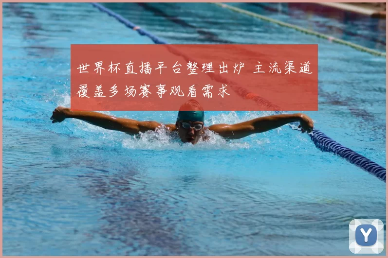 世界杯直播平台整理出炉 主流渠道覆盖多场赛事观看需求