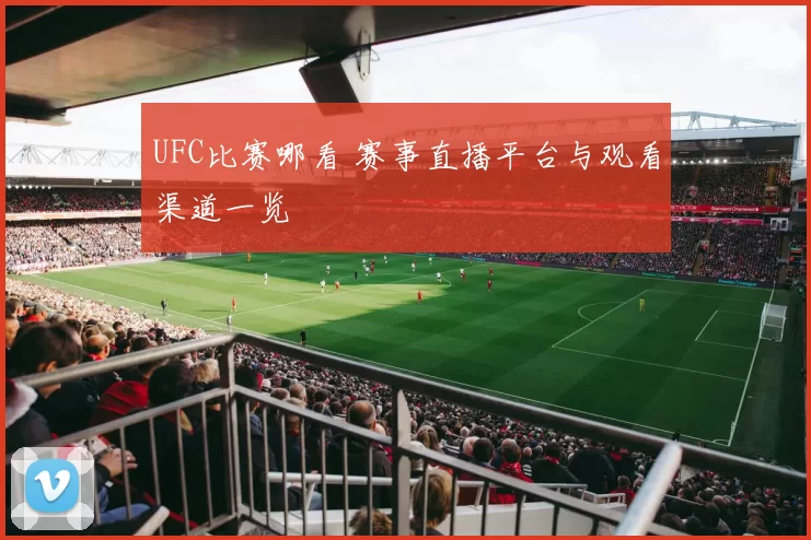 UFC比赛哪看 赛事直播平台与观看渠道一览