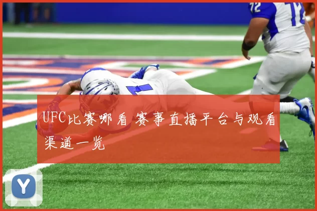 UFC比赛哪看 赛事直播平台与观看渠道一览