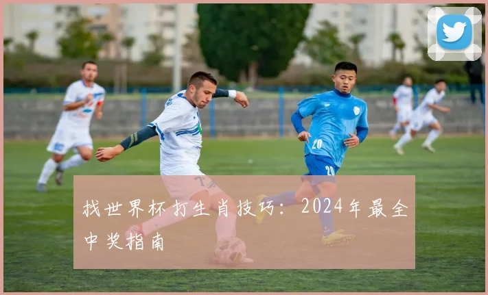 找世界杯打生肖技巧：2024年最全中奖指南
